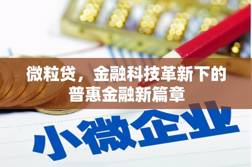 麻山微粒贷，金融科技革新下的普惠金融新篇章