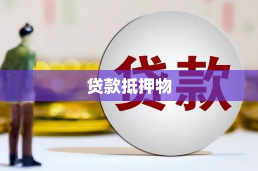 麻山贷款抵押物