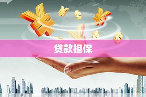 麻山贷款担保