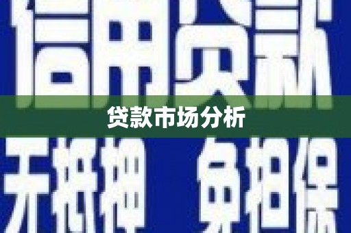 麻山贷款市场分析