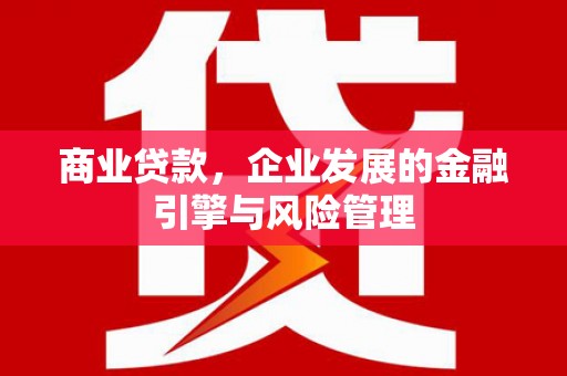 麻山商业贷款，企业发展的金融引擎与风险管理
