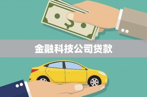 麻山金融科技公司贷款