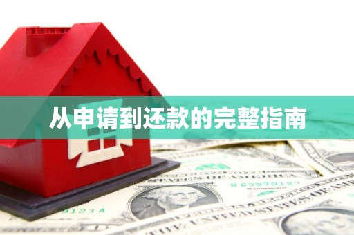 麻山从申请到还款的完整指南