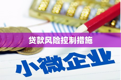 麻山贷款风险控制措施