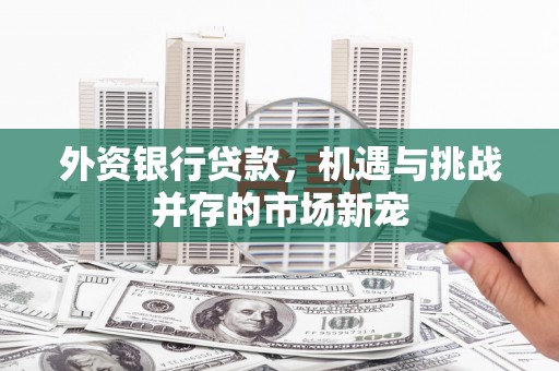 麻山外资银行贷款，机遇与挑战并存的市场新宠