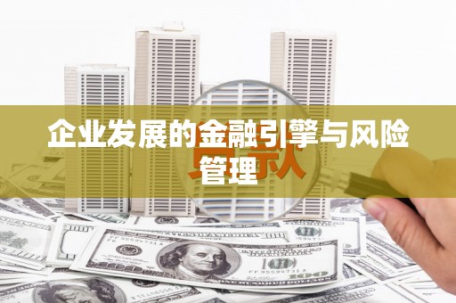 麻山企业发展的金融引擎与风险管理