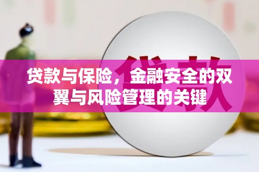 麻山贷款与保险，金融安全的双翼与风险管理的关键