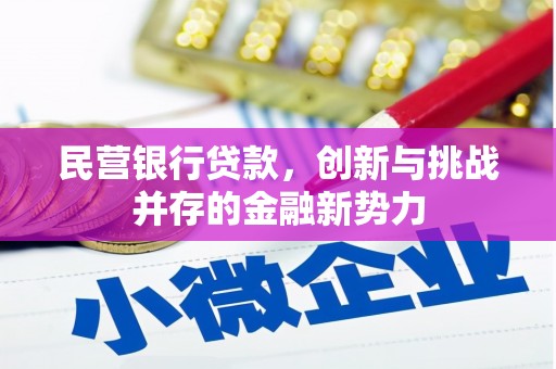 麻山民营银行贷款，创新与挑战并存的金融新势力