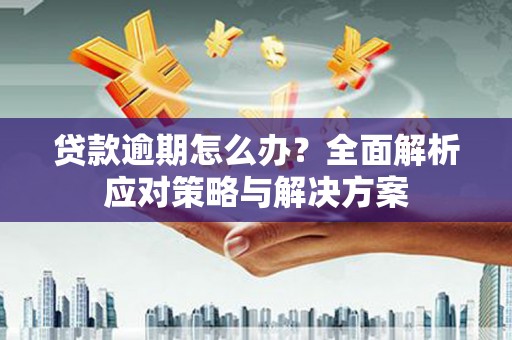麻山贷款逾期怎么办？全面解析应对策略与解决方案