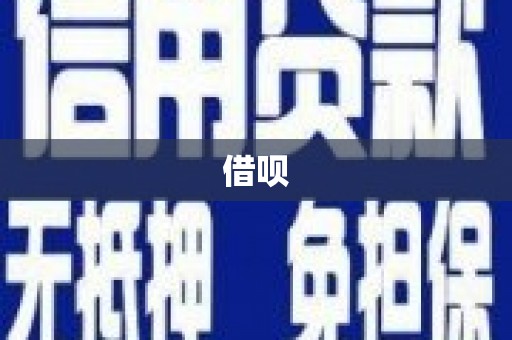 麻山借呗