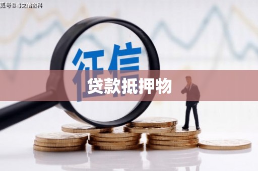 麻山贷款抵押物