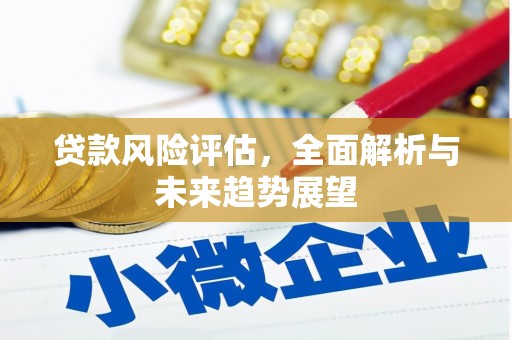 麻山贷款风险评估，全面解析与未来趋势展望