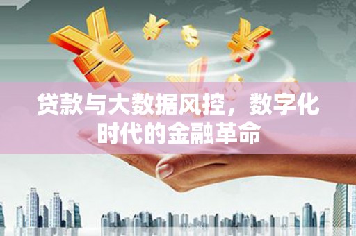 麻山贷款与大数据风控，数字化时代的金融革命