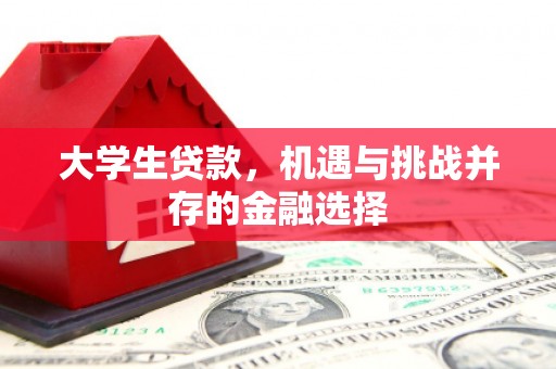 麻山大学生贷款，机遇与挑战并存的金融选择