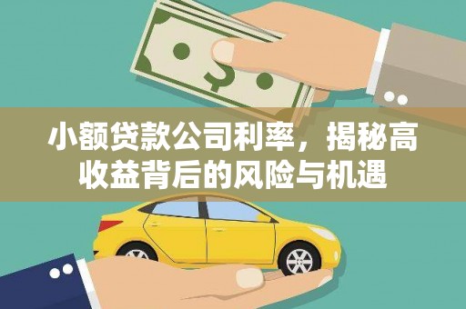 麻山小额贷款公司利率，揭秘高收益背后的风险与机遇