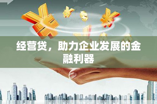 麻山经营贷，助力企业发展的金融利器