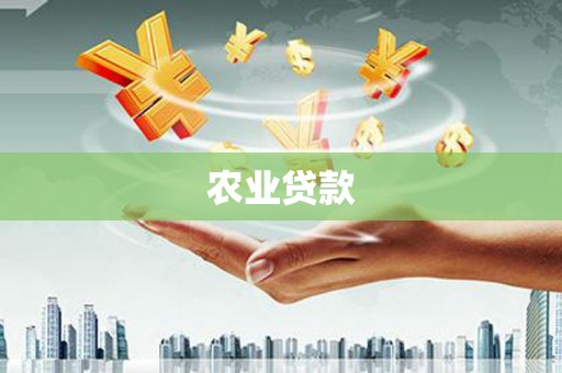 麻山农业贷款