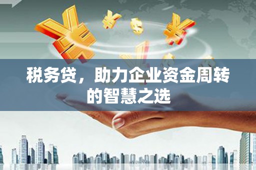 麻山税务贷，助力企业资金周转的智慧之选