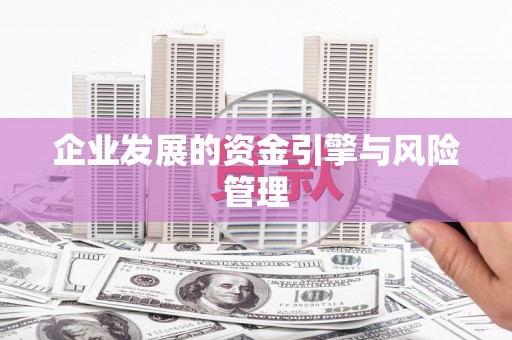 麻山企业发展的资金引擎与风险管理