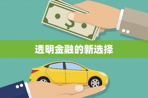 麻山透明金融的新选择