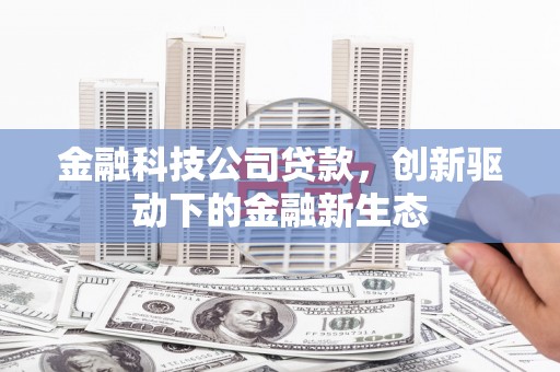 麻山金融科技公司贷款，创新驱动下的金融新生态