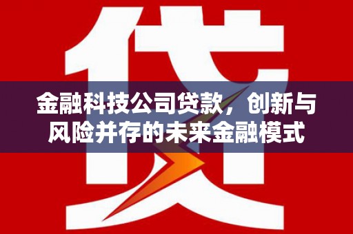 麻山金融科技公司贷款，创新与风险并存的未来金融模式