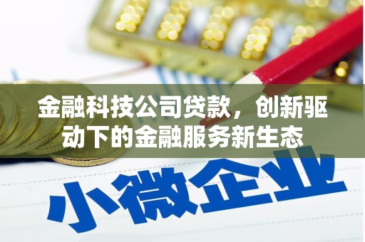 麻山金融科技公司贷款，创新驱动下的金融服务新生态
