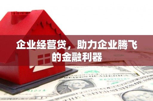 麻山企业经营贷，助力企业腾飞的金融利器