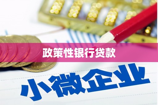麻山政策性银行贷款