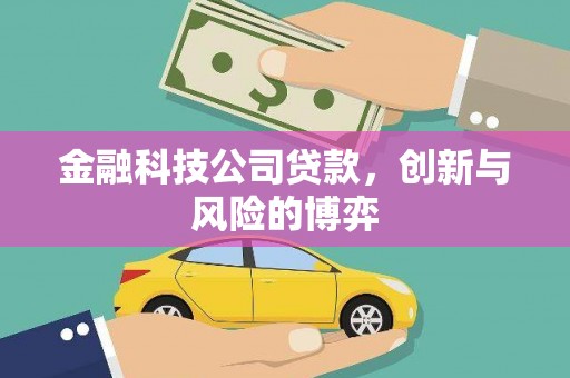 麻山金融科技公司贷款，创新与风险的博弈