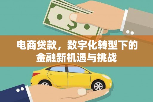 麻山电商贷款，数字化转型下的金融新机遇与挑战