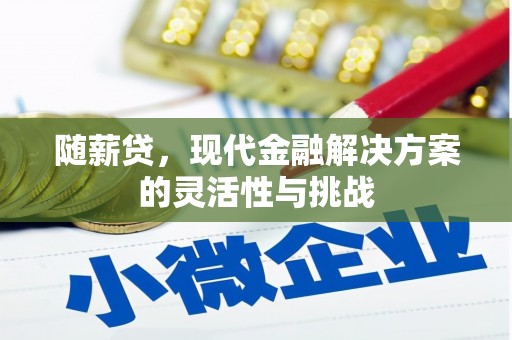 麻山随薪贷，现代金融解决方案的灵活性与挑战