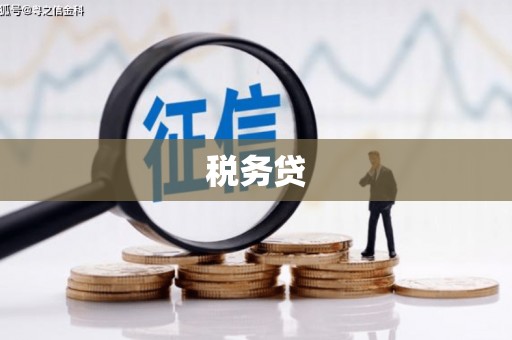 麻山税务贷