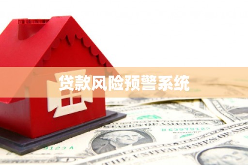 麻山贷款风险预警系统