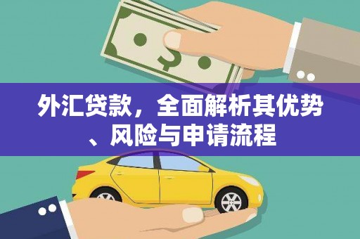 麻山外汇贷款，全面解析其优势、风险与申请流程