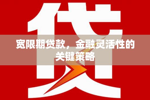 麻山宽限期贷款，金融灵活性的关键策略