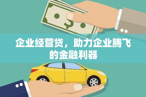 麻山企业经营贷，助力企业腾飞的金融利器