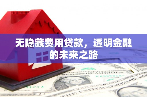 麻山无隐藏费用贷款，透明金融的未来之路