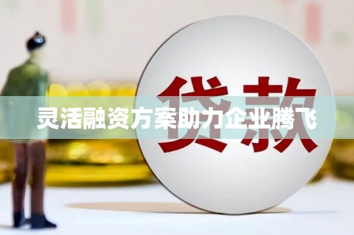 麻山灵活融资方案助力企业腾飞