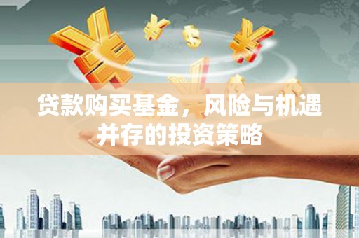 麻山贷款购买基金，风险与机遇并存的投资策略
