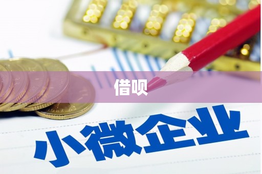麻山借呗