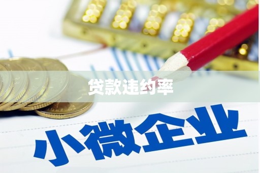 麻山贷款违约率