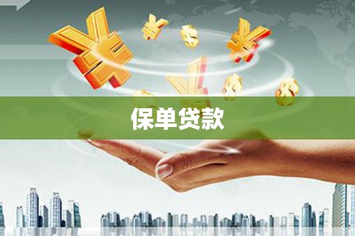 麻山保单贷款