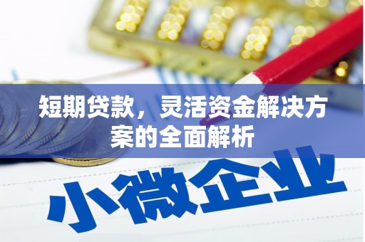 麻山短期贷款，灵活资金解决方案的全面解析