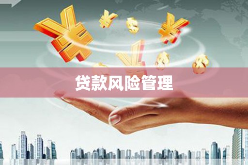 麻山贷款风险管理