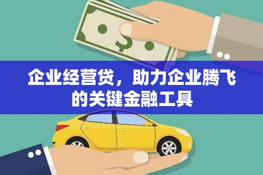麻山企业经营贷，助力企业腾飞的关键金融工具