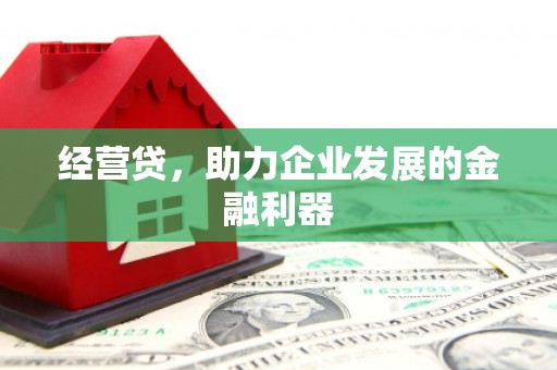 麻山经营贷，助力企业发展的金融利器