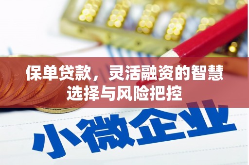 麻山保单贷款，灵活融资的智慧选择与风险把控
