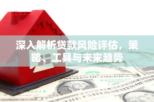 麻山深入解析贷款风险评估，策略、工具与未来趋势