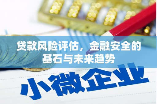 麻山贷款风险评估，金融安全的基石与未来趋势